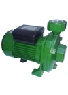 BFS Atlantis Blu DMLA 30-1.5M 2 HP Tek Kademeli Basınçlı Santrifuj Bahçe Pompası 220V