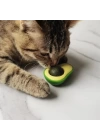 BFS  Avokado Model Yapışkanlı Kedi Oyuncağı Yenilebilir Kedi Nanesi Otu
