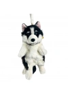 BFS  B&D Büyük Köpek Sırt Çantası