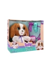 BFS  Baby Paws Peluş Veteriner Seti 25 cm