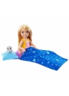 BFS   Barbie Chelseanin Kamp Macerası Oyun Seti HDF77