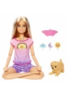 BFS   Barbie Meditasyon Yapıyor Oyun Seti HHX64