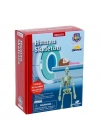 BFS   Bilim Seti : İnsan İskeleti