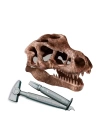 BFS   Bilim ve Oyun T-Rex Kazı Seti