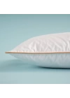 BFS     Bimba Downa Kaz Tüyü Baby Yastık %30 Gıdık 35x45