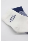 BFS   Bistyle Big Heart Penye Soket Çorap 2Li BS10117 Lacivert