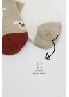 BFS   Bistyle Love Dog Penye Soket Çorap 2Li BS10118 Bej