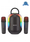 BFS Bluetooth Çift Mikrofonlu Kablosuz Karaoke Rgb Işıklı Yüksek Sesli Müzik 4 Ses Degıstırme