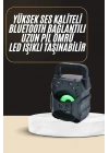 BFS Bluetooth Hoparlör Android ve İOS Uyumlu Ses Bombası USB Girişli Taşınabilir