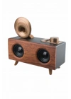 BFS Bluetooth Nostalji Speaker Radyo Gramofon Ahşap Renk Vintage