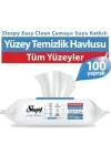 BFS    Çamaşır Suyu Katkılı Yüzey Temizleme Havlusu 100 Adet