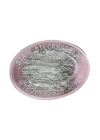 BFS Çelik İğne Pembe Oval Kutuda 25 Gr