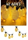 BFS  Dekoratif Pilli Pineapple Ananas Pilli Şerit Led Işık (1 Metre)
