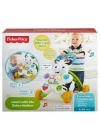 BFS  DLD80 Fisher-Price® Melodili Zebra Yürüteç
