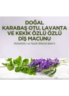 BFS   Doğal Diş Macunu 90 Gr Karabaş Otu & Lavanta ve Kekik Özlü
