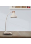 BFS  Dokunmatik 3 Farklı LED Işıklı Çalışma Masası Üstü Lamba