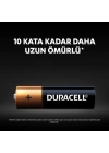 BFS   Duracell Basic D Boy Pil 2Li
