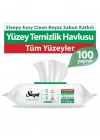 BFS    Easy Clean Yüzey Temizlik Havlusu 100 Adet
