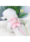 BFS Evcil Hayvan Peluş Ayıcıklı Göğüs Gezdirme Tasması Set