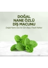 BFS   Eyüp Sabri Tuncer Doğal Diş Macunu 90 Gr Nane Özlü