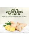 BFS   Eyüp Sabri Tuncer Doğal Diş Macunu 90 Gr Zencefil Özlü