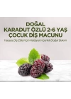 BFS   Eyüp Sabri Tuncer Doğal Karadut Özlü Diş Macunu 2-6 Yaş 60ml