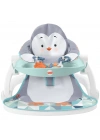 BFS   Fisher Price Tepsili Ana Kucağı HBF27