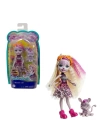 BFS  FNH22 Enchantimals Popüler Karakter Bebekler / +4 yaş