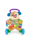 BFS  FTG10 Fisher-Price® Eğitici Köpekçik Yürüteç /Türkçe
