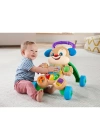 BFS  FTG10 Fisher-Price® Eğitici Köpekçik Yürüteç /Türkçe