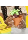 BFS   G0492 Play-Doh Renkli Çiçekler Botanik Oyun Seti +3 yaş
