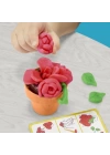 BFS   G0492 Play-Doh Renkli Çiçekler Botanik Oyun Seti +3 yaş