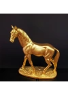BFS Gold Renk At Biblosu