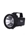 BFS Güvenlik Feneri 30 W Kuvvetinde Wt-401