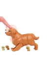 BFS  HCK75 Barbie ve Yeni Doğan Köpekler Oyun Seti, Barbie ve Hayvanları