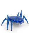 BFS   HexBots Nano Scarab & Beetle