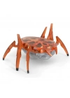 BFS   HexBots Nano Scarab & Beetle