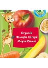BFS  Hipp Organik Havuçlu Karışık Meyve Püresi 100 Gr