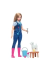 BFS   HRG42 Barbie 65. Yıl Deluxe Kariyer Bebekleri - Veteriner