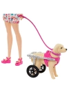 BFS   HTK37 Barbie ve Engelli Köpeği Oyun Seti