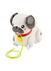 BFS   HTW94 Fisher-Price  Minik Dostumla Yürüyüş