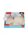 BFS  HXG97 Fisher-Price Uyku Arkadaşım Tavşancık