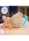 BFS  HXG97 Fisher-Price Uyku Arkadaşım Tavşancık