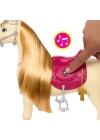 BFS   HXJ42 Barbie ve Dansçı Atı - Barbie Mysteries: The Great Horse Chase