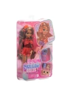BFS   HYC23 Barbie Dream Besties Ana Karakter Bebekler Teresa