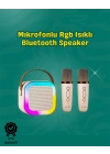 BFS İki Mikrofonlu Renkli LED Işıklı Karaoke Cihazı