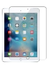 BFS  iPad Pro 12.9 (2016) Tablet Cam Ekran Koruyucu