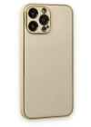 BFS  iPhone 13 Pro Max Kılıf Coco Deri Silikon Kapak - Gold