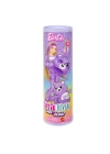 BFS   JCN93 Barbie Cutie Reveal  Care Bear Serisi