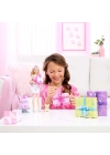 BFS  JFG68 Barbie Party Unboxed Köpeğimin Doğum Günü Serisi